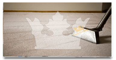 Carpet cleaners Castelnau SW13